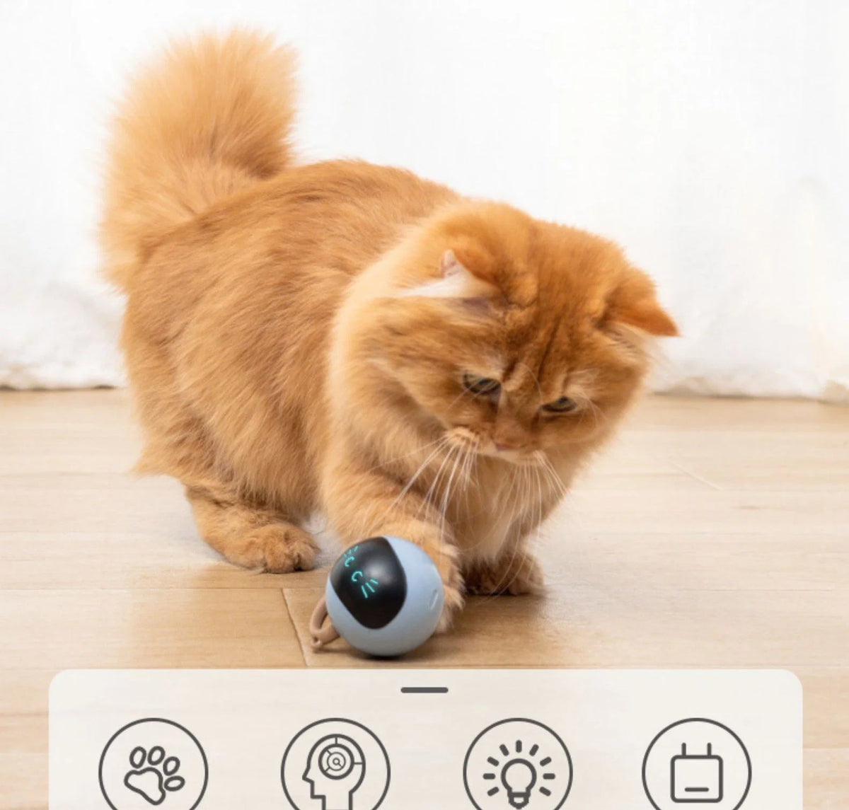 Interactive Cat Toy Unpredictable Motion USB Rechargeable
