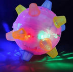 Interactive Dog Ball Motion-Activated LED Rechargeable 5.1 Inch