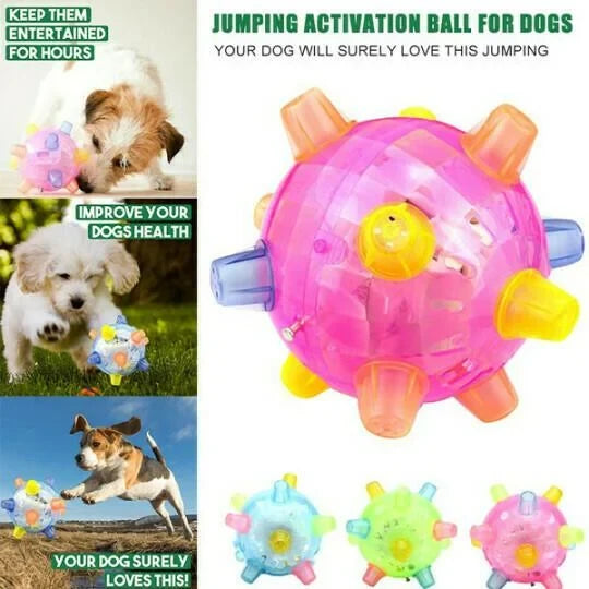 Interactive Dog Ball Motion-Activated LED Rechargeable 5.1 Inch