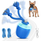 Interactive Dog Ball Self-Rolling USB Rechargeable