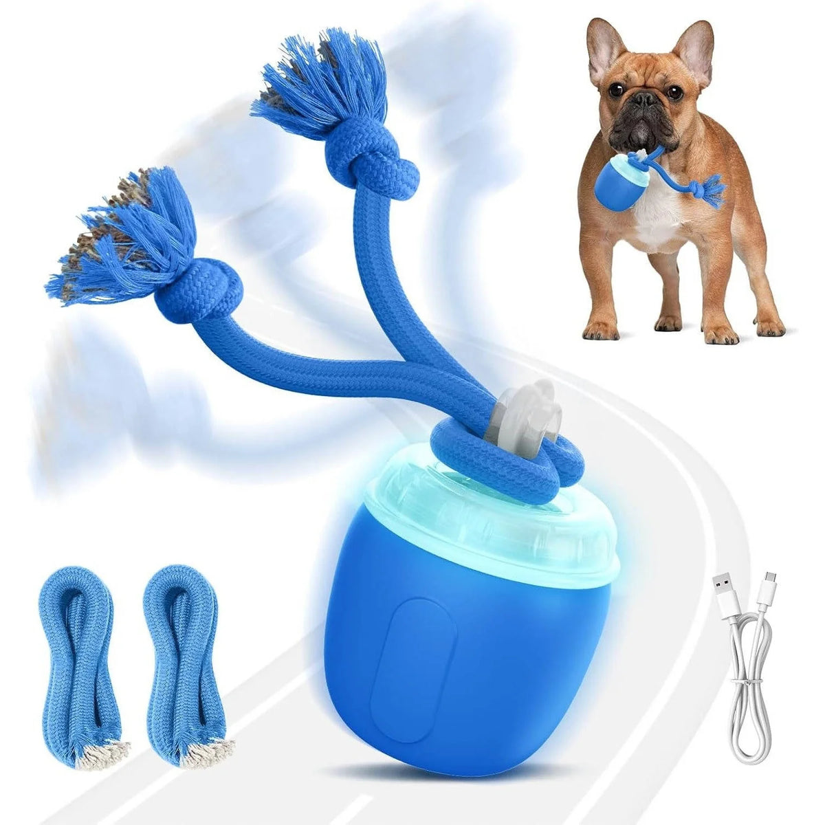Interactive Dog Ball Self-Rolling USB Rechargeable
