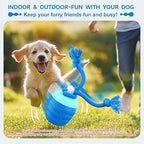 Interactive Dog Ball Self-Rolling USB Rechargeable