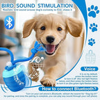 Interactive Dog Ball Self-Rolling USB Rechargeable