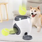 Interactive Dog Feeder Slow Feeding Dishwasher Safe