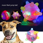 Interactive Dog Toy Motion-Activated LED BPA-Free Rubber