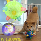 Interactive Dog Toy Motion-Activated LED BPA-Free Rubber
