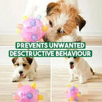 Interactive Dog Toy Motion-Activated LED BPA-Free Rubber