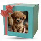 Interactive Dog Toy Realistic Walking & Touch-Responsive Plush