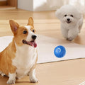 Interactive Dog Toy Unpredictable Motion Rechargeable & Obstacle-Sensing