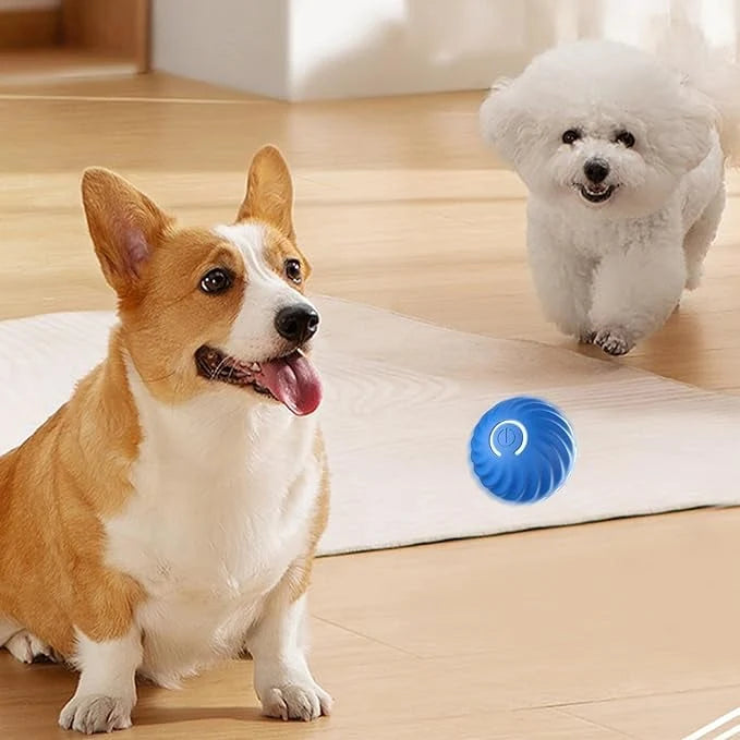 Interactive Dog Toy Unpredictable Motion Rechargeable & Obstacle-Sensing