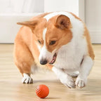 Interactive Dog Toy Unpredictable Motion Rechargeable & Obstacle-Sensing