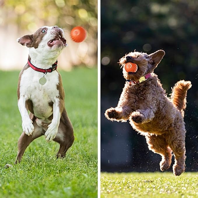 Interactive Dog Toy Unpredictable Motion Rechargeable & Obstacle-Sensing