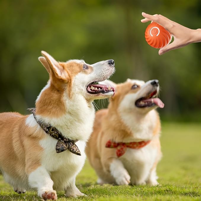 Interactive Dog Toy Unpredictable Motion Rechargeable & Obstacle-Sensing