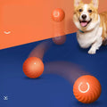 Interactive Pet Ball Self-Rolling Lightweight Non-Toxic ABS