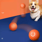 Interactive Pet Ball Self-Rolling Lightweight Non-Toxic ABS