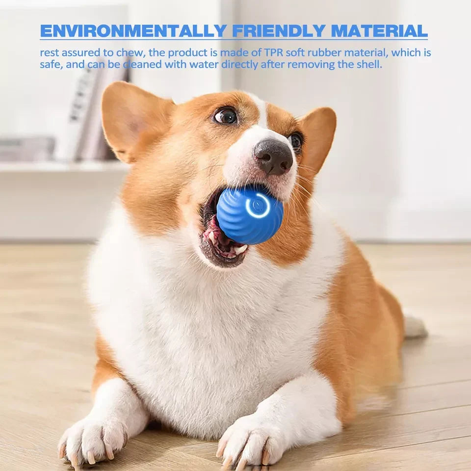 Interactive Pet Ball Self-Rolling Lightweight Non-Toxic ABS