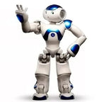 Interactive Robot Toy Lifelike Motion & Sound Remote Control