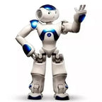 Interactive Robot Toy Lifelike Motion & Sound Remote Control