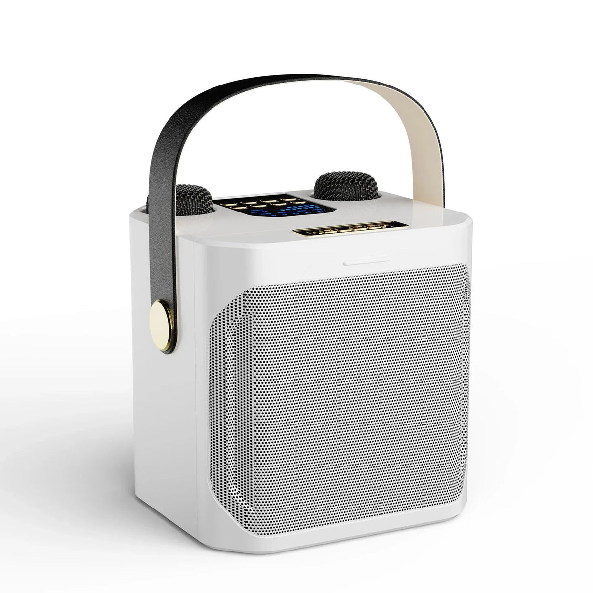 Karaoke Speaker 360° Stereo Bluetooth Dual Microphones