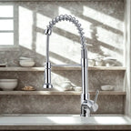 Kitchen Faucet Double Spout Brass Black-Gold