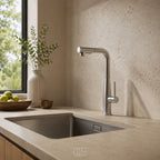 Kitchen Faucet Pull-Out Dual Spray Stainless Steel