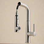 Kitchen Faucet Pull-Out Dual Spray Stainless Steel