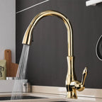 Kitchen Faucet Pull-Out Spray Head 360° Swivel Stainless Steel