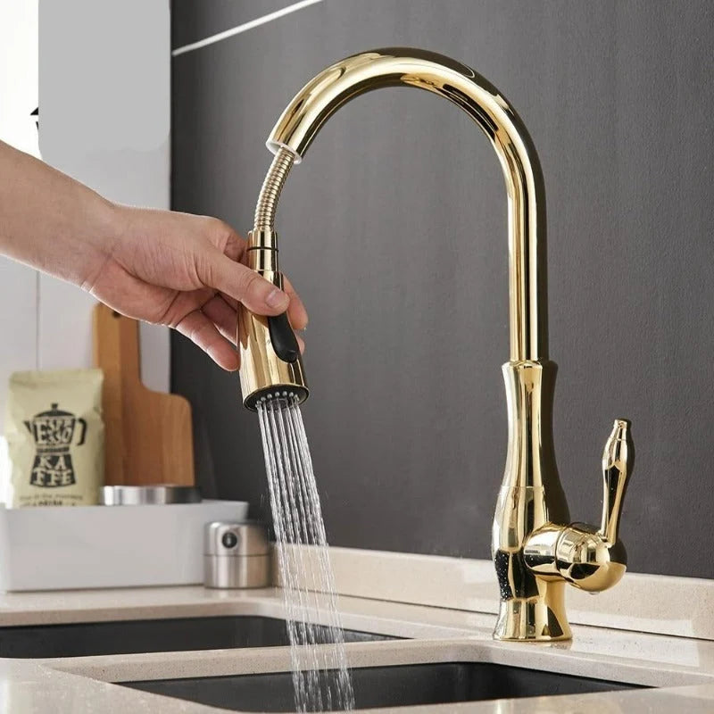Kitchen Faucet Pull-Out Spray Head 360° Swivel Stainless Steel
