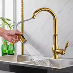 Kitchen Faucet Pull-Out Spray Head 360° Swivel Stainless Steel