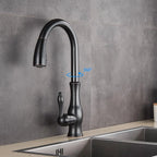 Kitchen Faucet Pull-Out Spray Head 360° Swivel Stainless Steel
