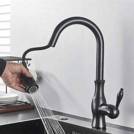 Kitchen Faucet Pull-Out Spray Head 360° Swivel Stainless Steel