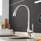 Kitchen Faucet Pull-Out Spray Head 360° Swivel Stainless Steel