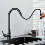 Kitchen Faucet Pull-Out Sprayer 360° Swivel Ceramic Disc Valve