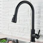 Kitchen Sink Faucets