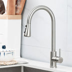 Kitchen Sink Faucets