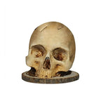 Knife Holder Skull Design Durable Resin Fits Various Sizes