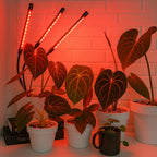 LED Grow Light Full-Spectrum 360° Gooseneck