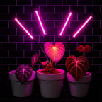 LED Grow Light Full-Spectrum 360° Gooseneck