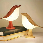 LED Lamp & Diffuser Ultrasonic USB Rechargeable