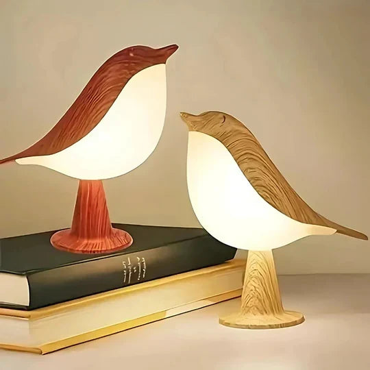 LED Lamp & Diffuser Ultrasonic USB Rechargeable