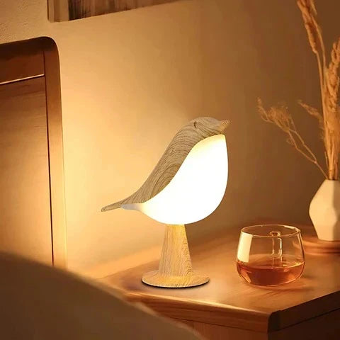 LED Lamp & Diffuser Ultrasonic USB Rechargeable