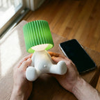 LED Table Lamp Rechargeable USB-C Two Brightness Levels