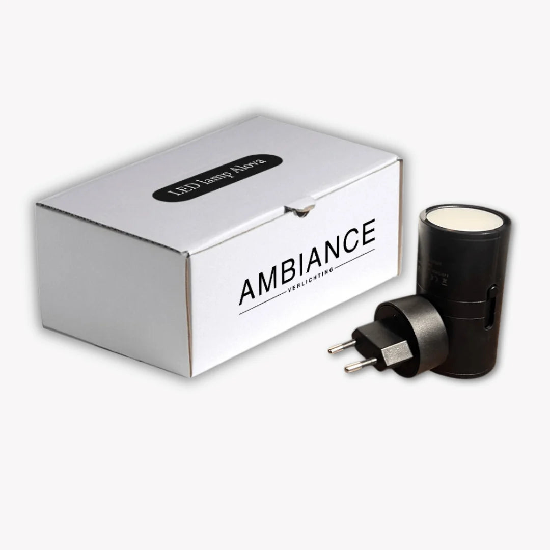 LED Wall Light Plug-In Dimmable Automatic Sensor