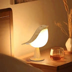 Lamp Diffuser USB Rechargeable LED & Ultrasonic Mist