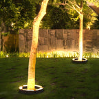 Landscape Arc Light Waterproof LED Warm White & RGB
