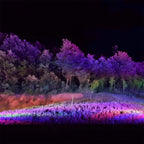Landscape Spot Light RGB LED IP65 Waterproof