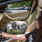 Large Dog Car Bed Raised Edge Water-Repellent
