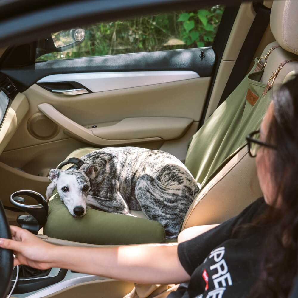 Large Dog Car Bed Raised Edge Water-Repellent