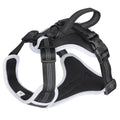 Large Dog Harness Oxford Cloth Soft Lined Handheld Leash