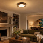 Layered Glass Color-Adjustable LED Flush Mount Ceiling Light (Remote Control)